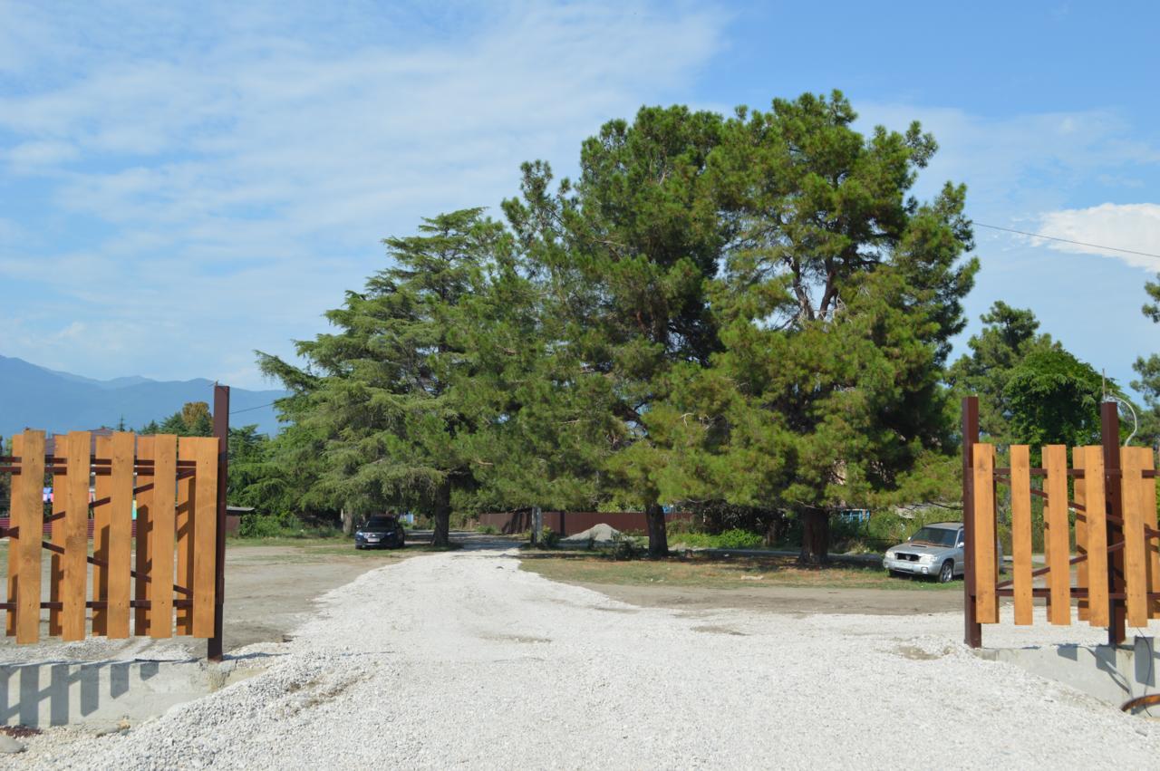 Al Mare Hotel Пицунда Екстериор снимка